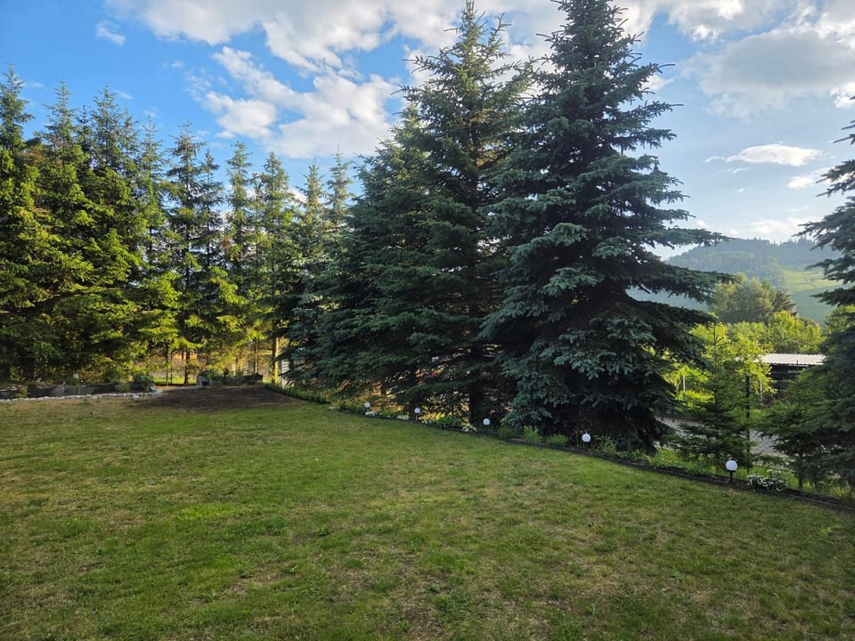 Nearby landmark, Day, Natural landscape, Garden view, Mountain view