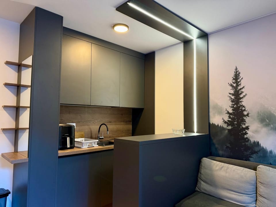 Kitchen or kitchenette, stove