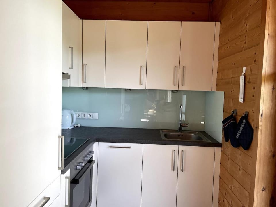 Kitchen or kitchenette, dishwasher, oven, stove