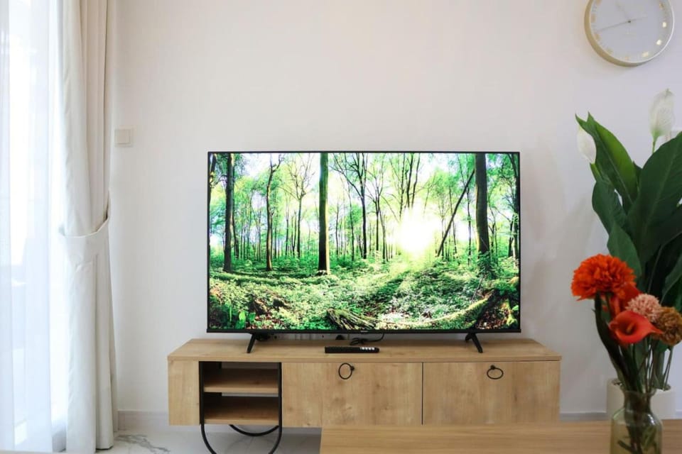 TV and multimedia