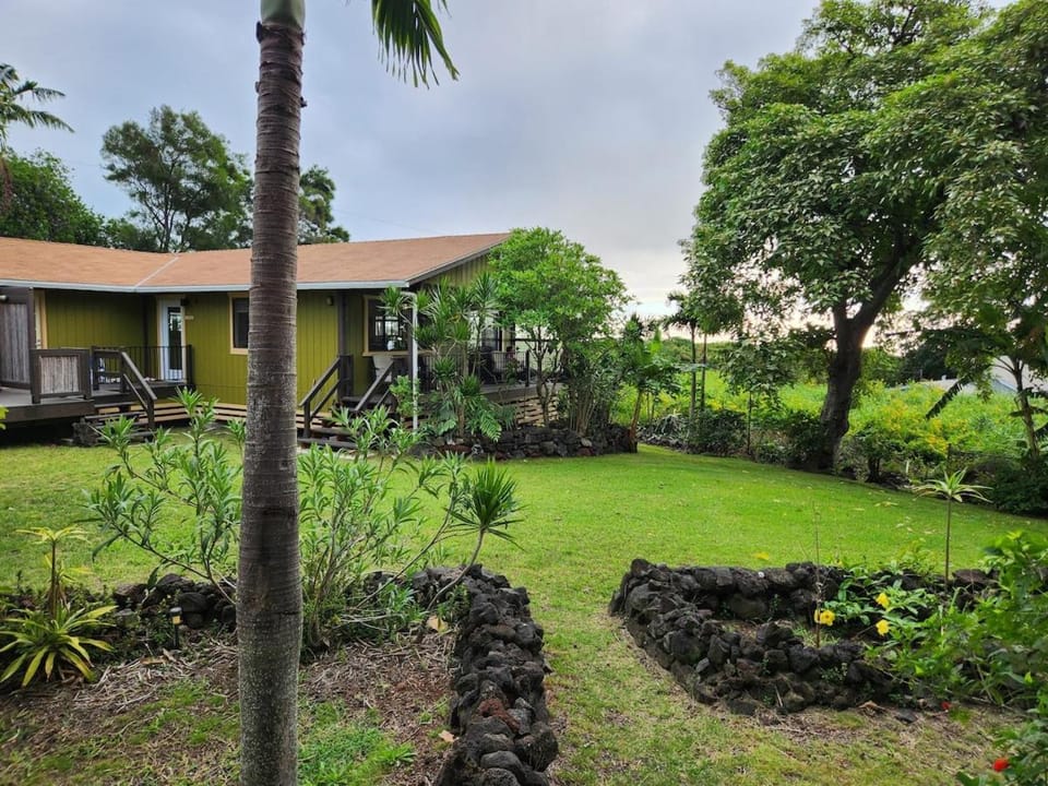 Property building, Natural landscape, Garden, Garden view