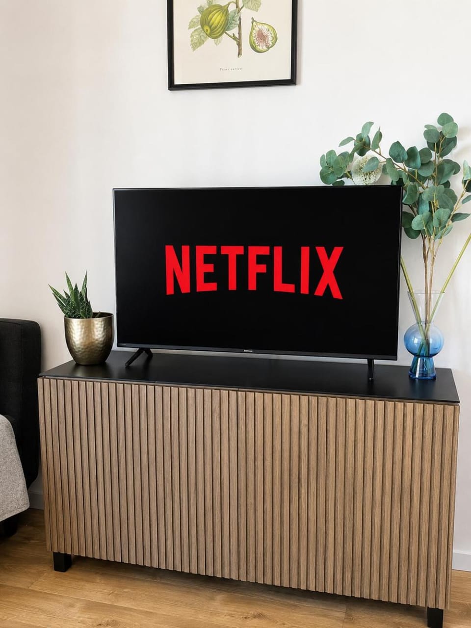 TV and multimedia, Entertainment
