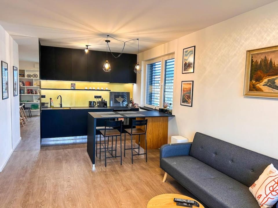 Kitchen or kitchenette, Living room, Seating area, Dining area, stove