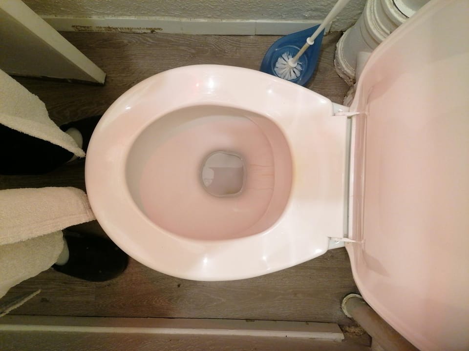 Toilet
