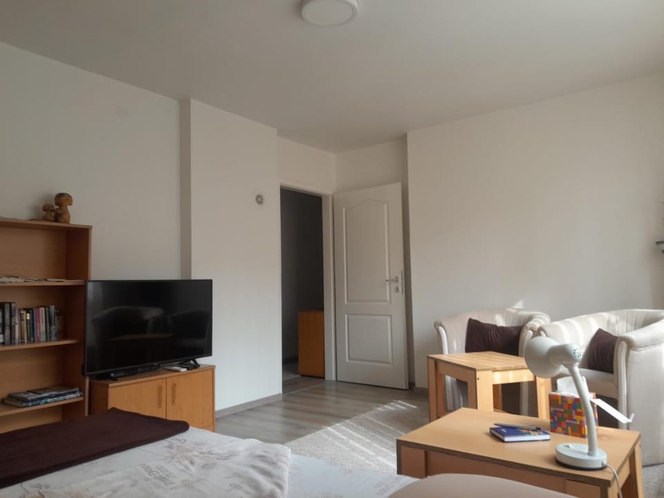 Bed, Library, TV and multimedia, Seating area, Bedroom