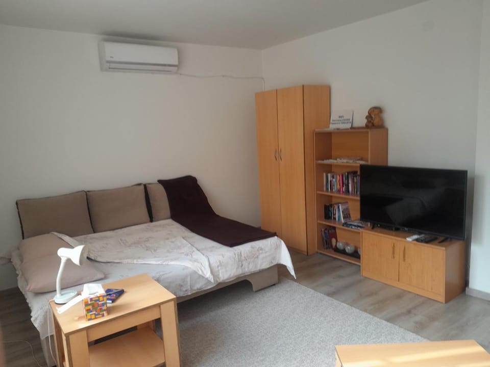 Communal lounge/ TV room, Bed, Library, TV and multimedia, Seating area, Bedroom, wardrobe, air conditioner
