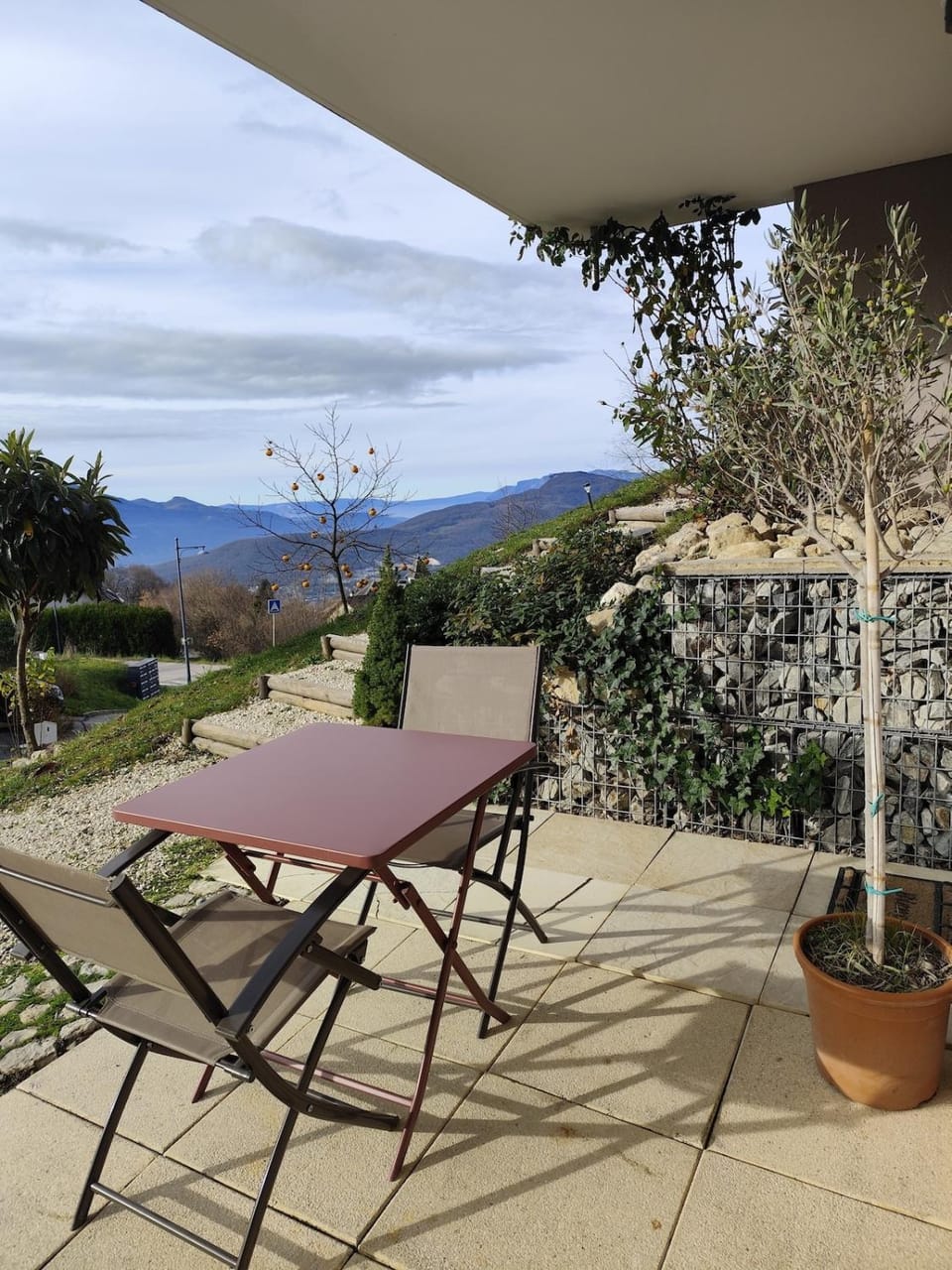 Studio tout confort avec vue lac Apartment in Haute-Savoie