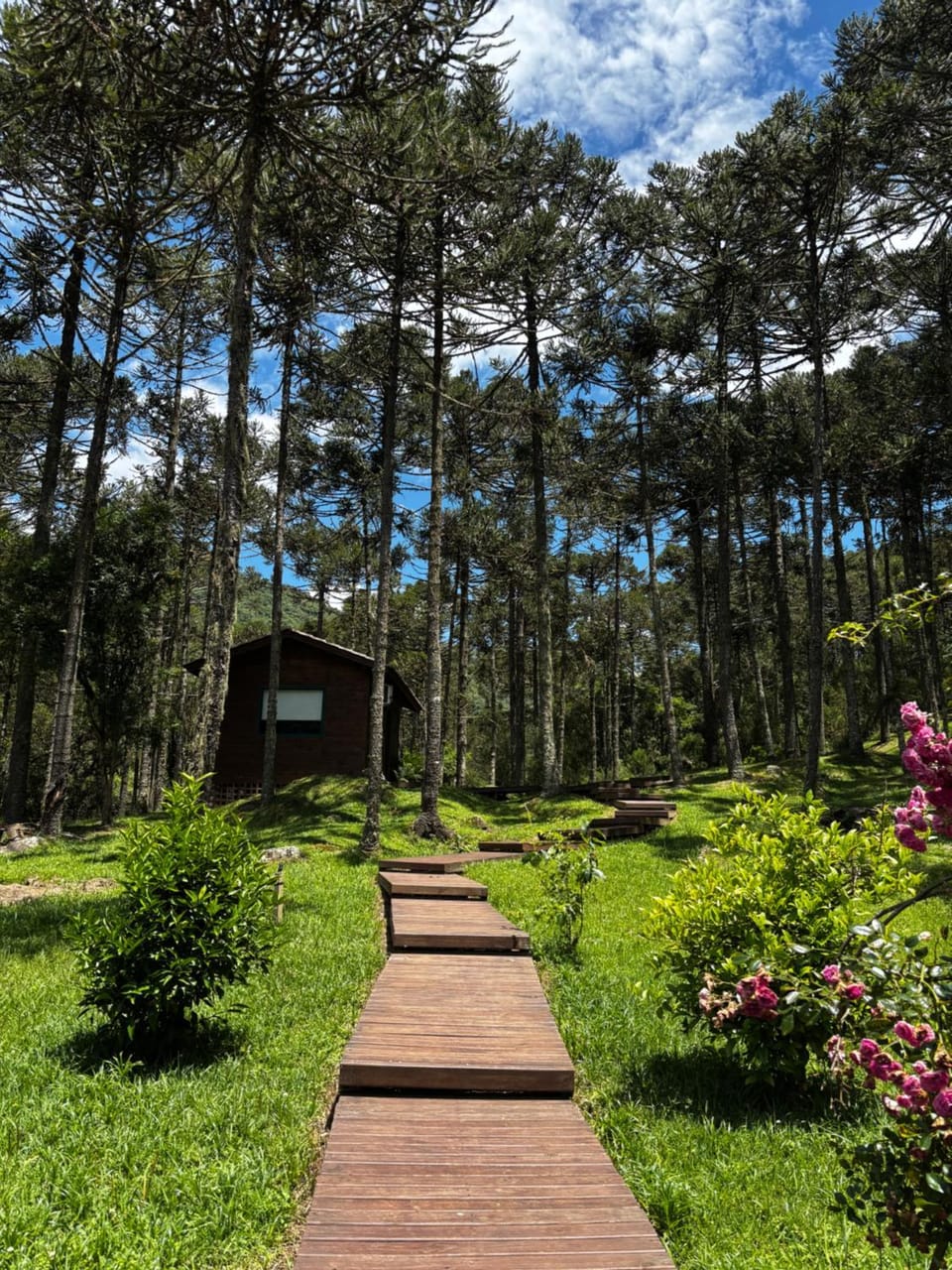 Natural landscape, Garden view