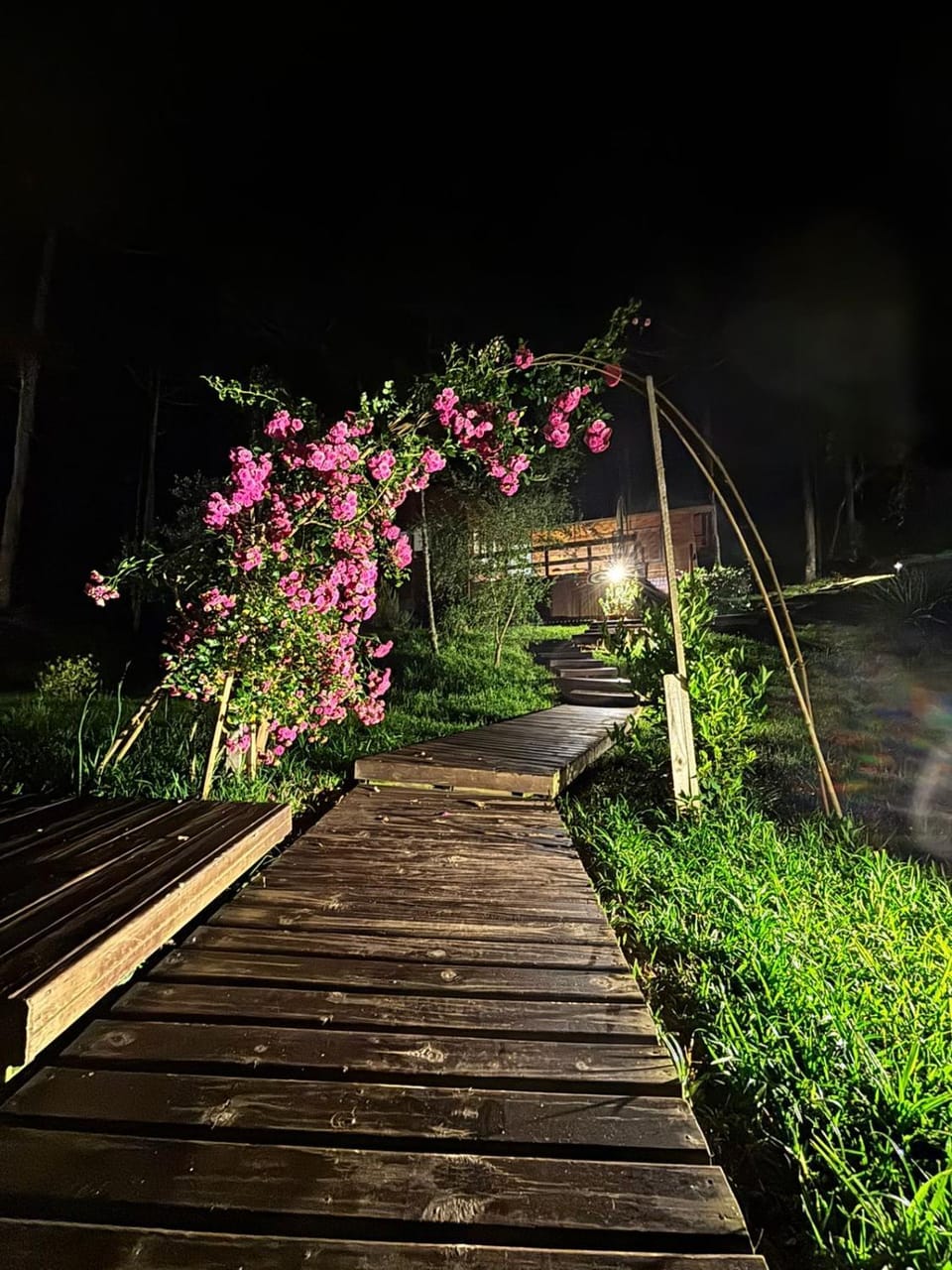 Night, Garden, Garden view