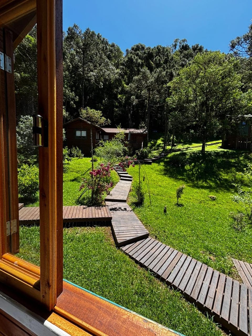 Day, Natural landscape, Garden view