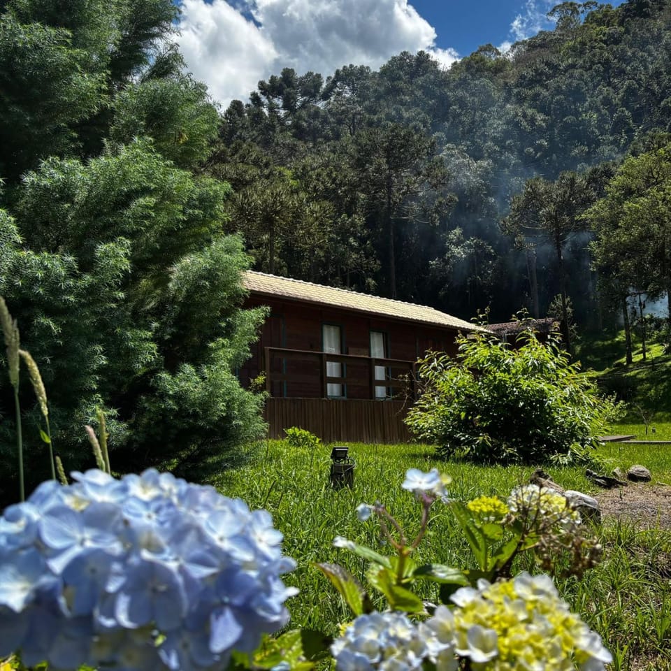 Natural landscape, Garden