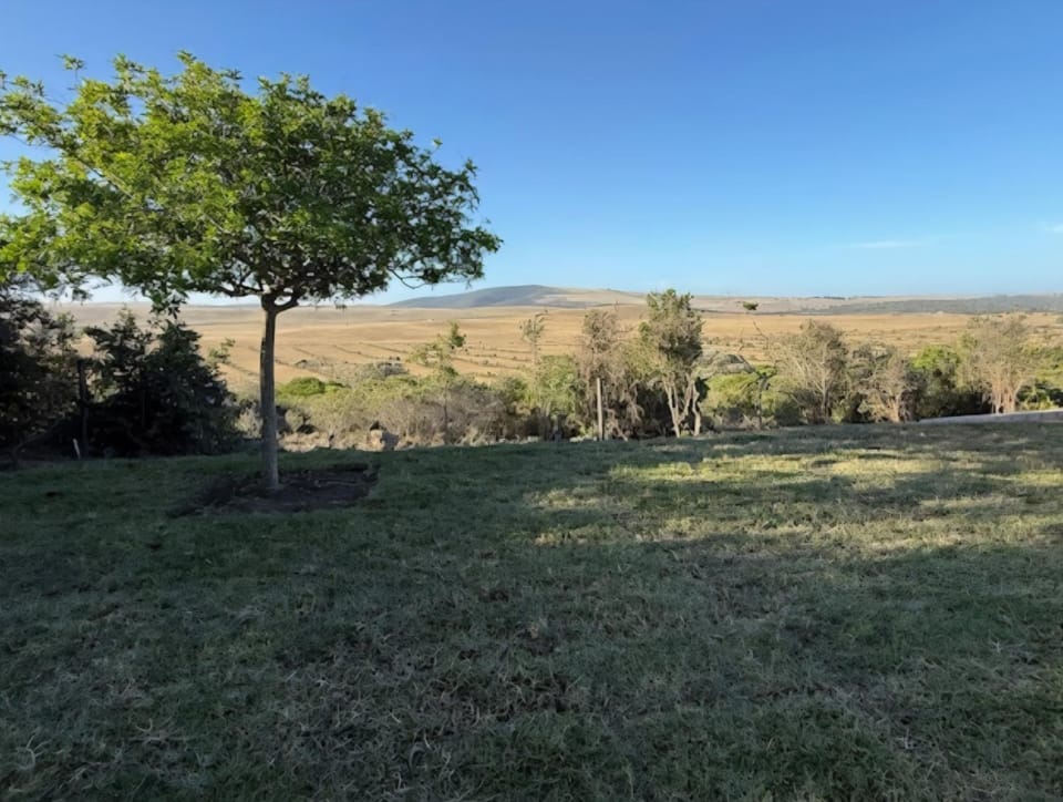 Natural landscape