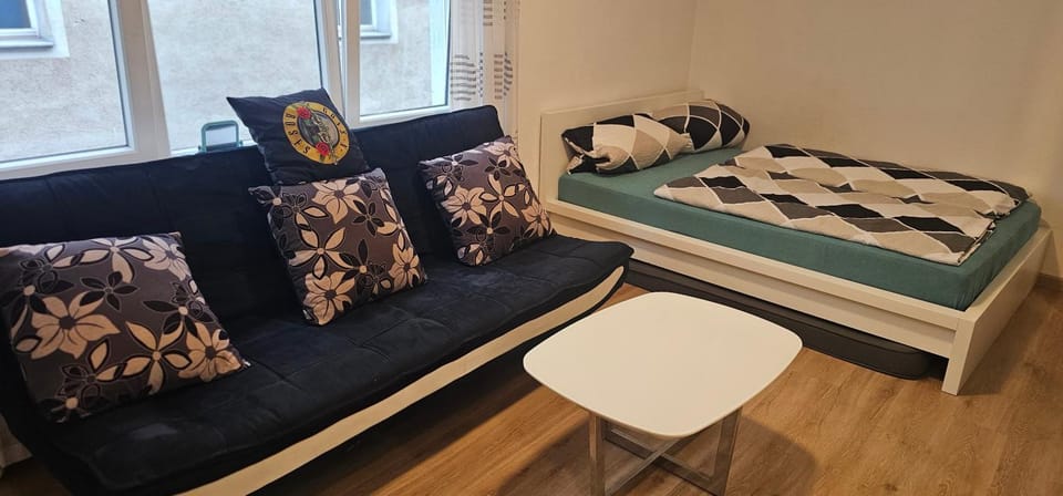 Room in Würzburg city center Apartment in Wurzburg