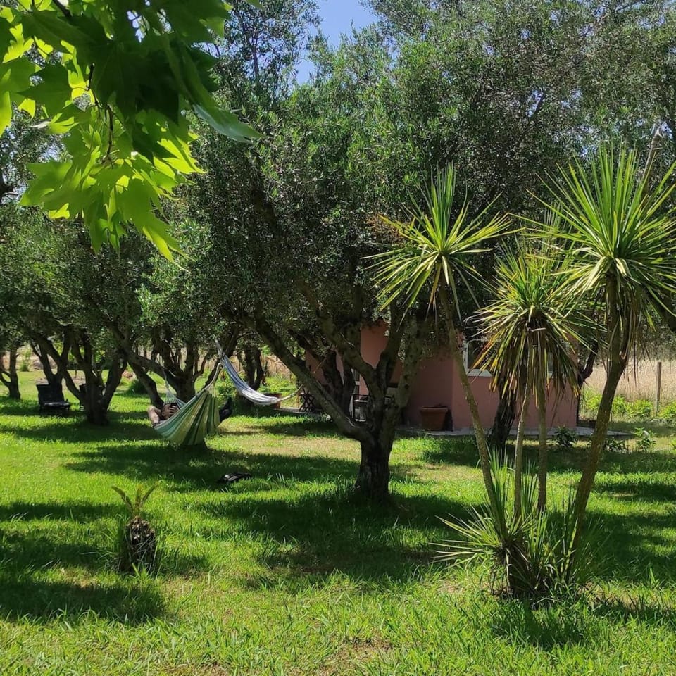 Lea's Studio House in Peloponnese, Western Greece and the Ionian