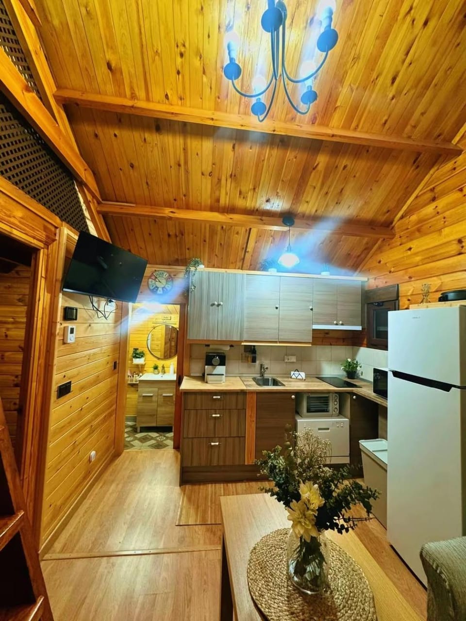Kitchen or kitchenette, Dining area, oven, stove
