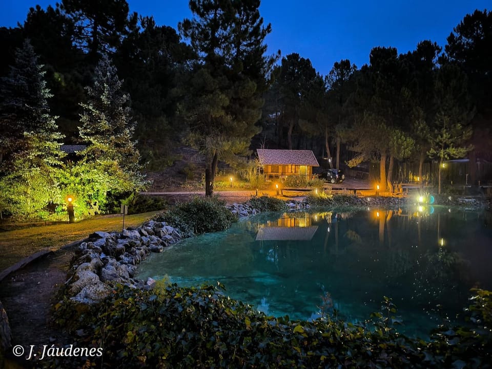Nearby landmark, Night, Natural landscape, Garden, Garden view, Lake view