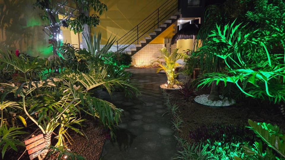 Night, Garden, Garden view