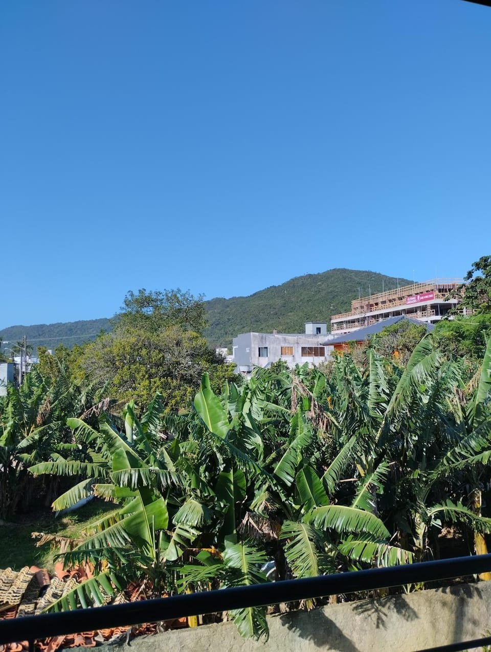 Praia cachoeira do bom House in Florianopolis
