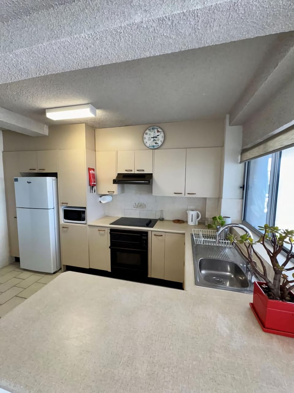 Oceanfront and beach views Apartment in The Entrance