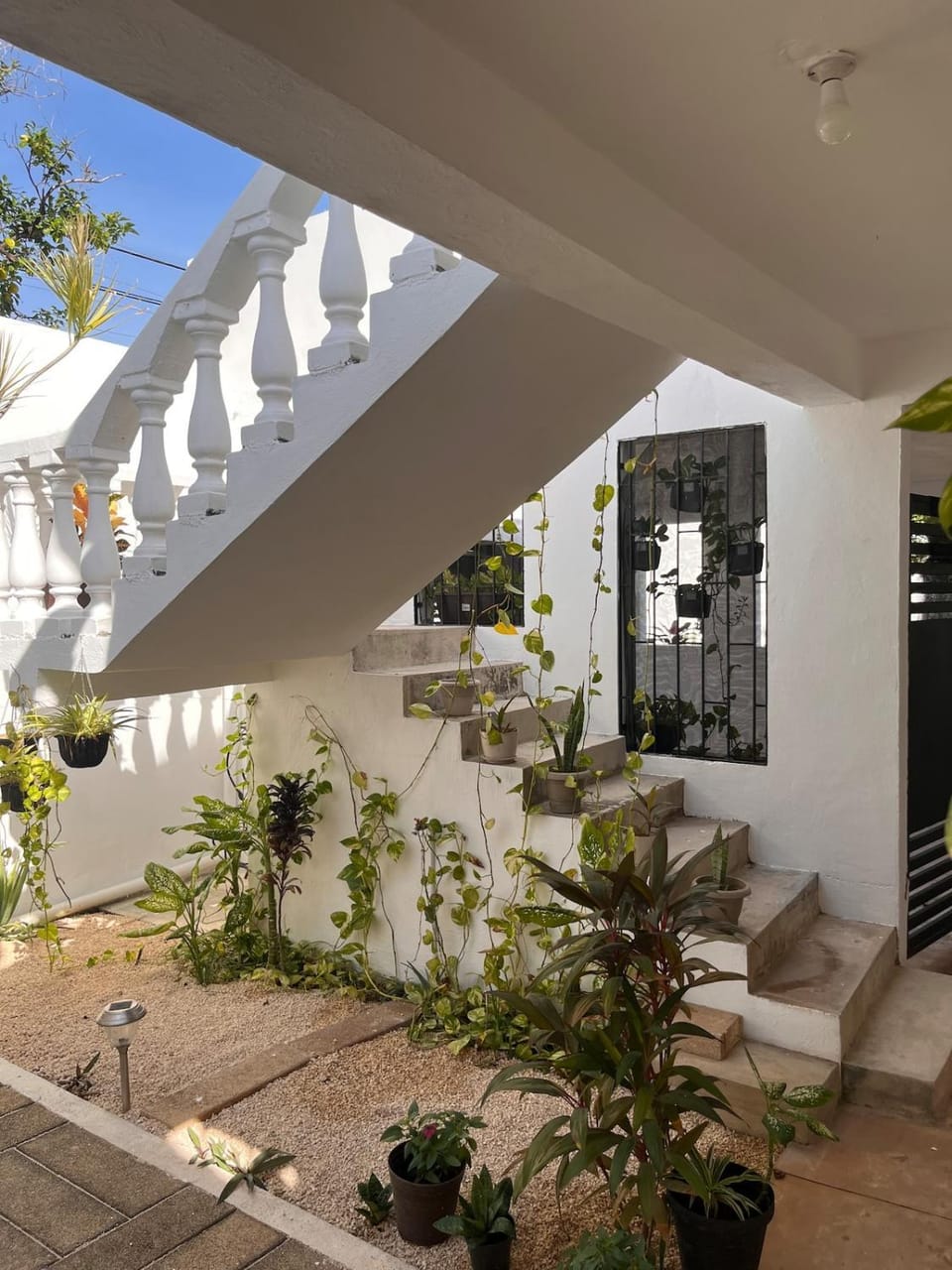 Property building, Garden