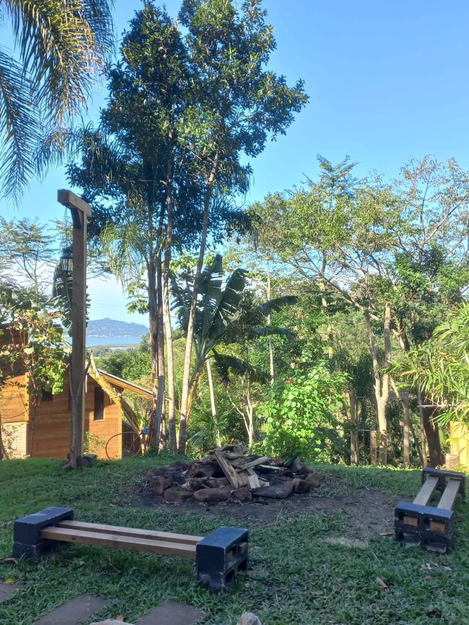 Natural landscape, Garden, Garden view