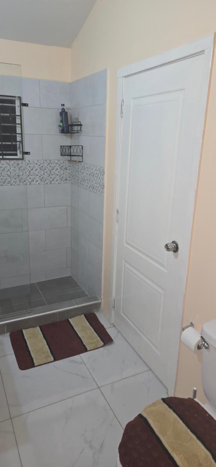 Zim Oasis House in Portmore