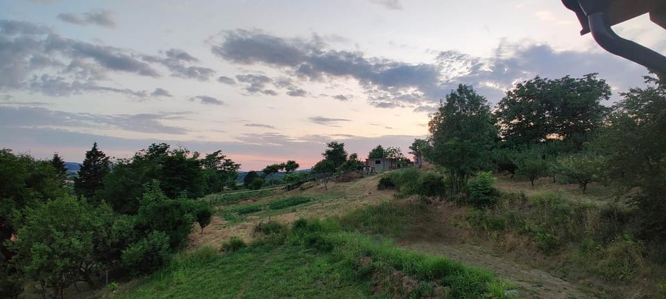 Spring, Day, Natural landscape, Sunset