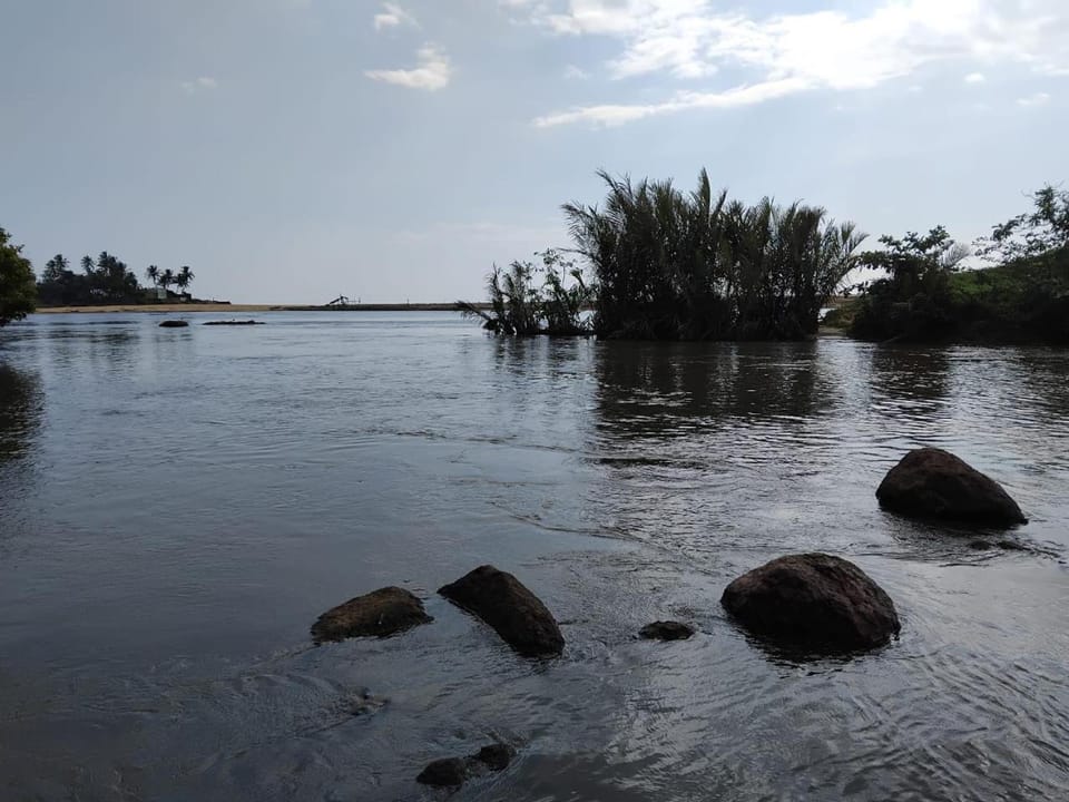 River view, River view