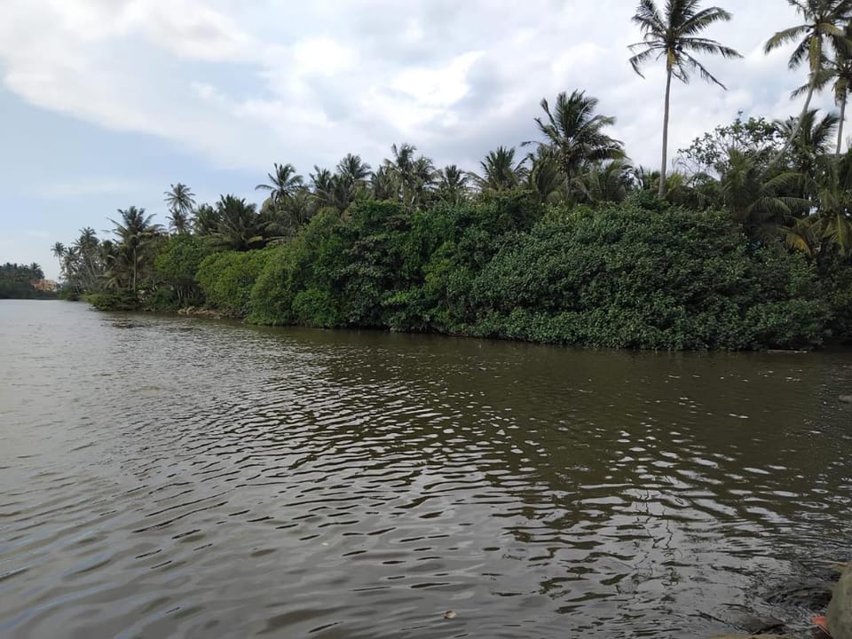 River view