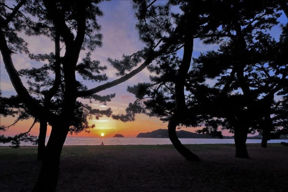 Pine Beach Resort Villa Apartment in Japan