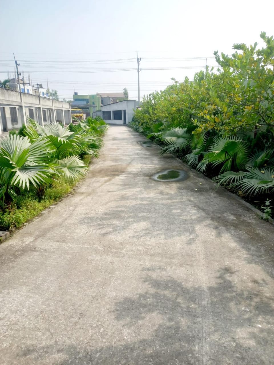 Natural landscape, Street view