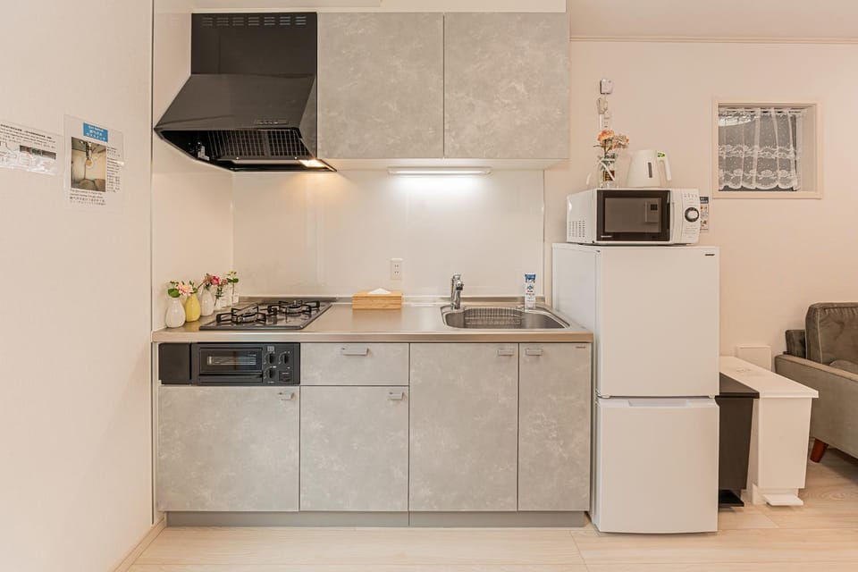 Kitchen or kitchenette, kitchen