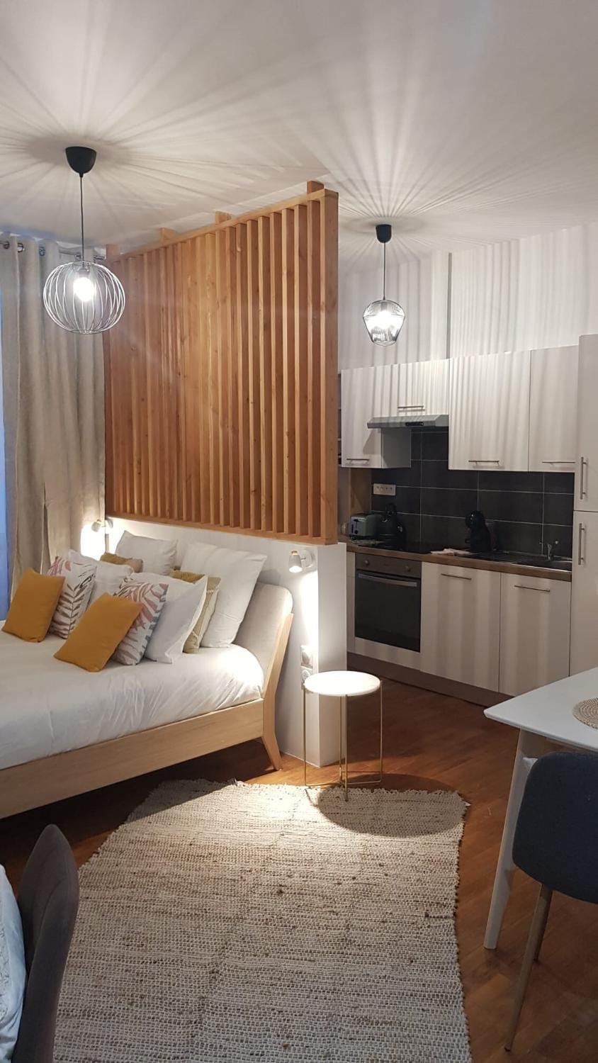 Magnifique appartement de standing climatisé lumineux Apartment in Nouvelle-Aquitaine