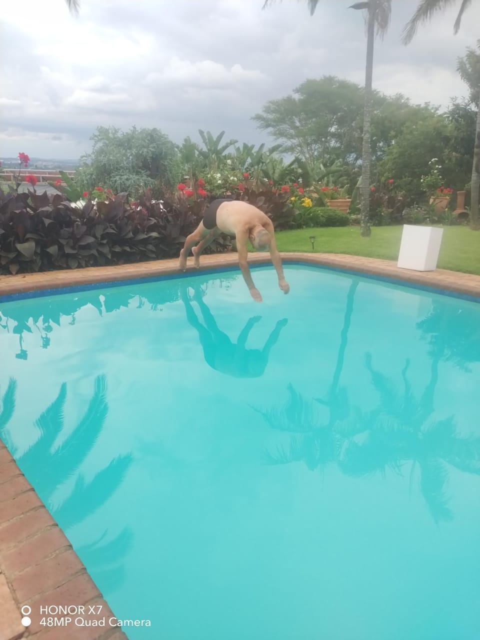 Viva-Africa Zehetleitner Bed and Breakfast in Pretoria