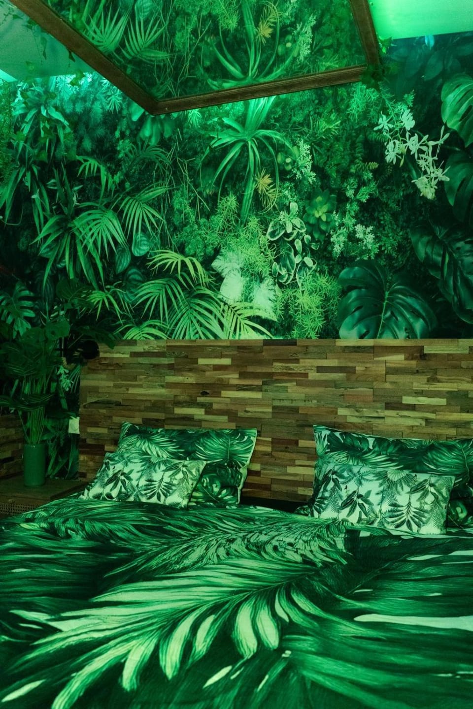 Suite Jungle Room Apartment in Perpignan