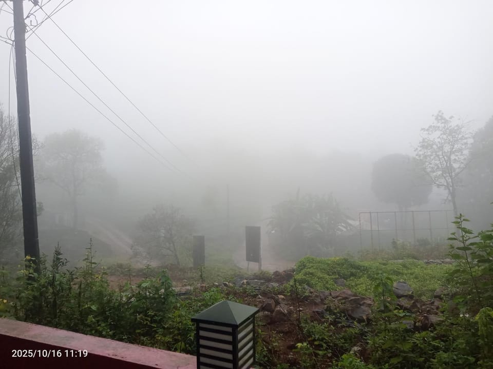 Mountain view