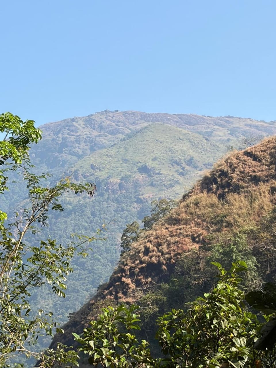 On heights House in Kerala