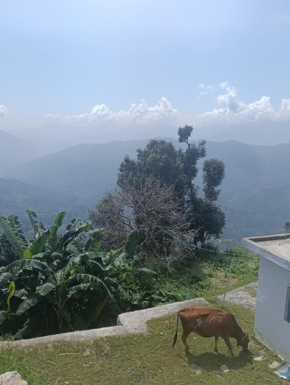 Natural landscape, Mountain view