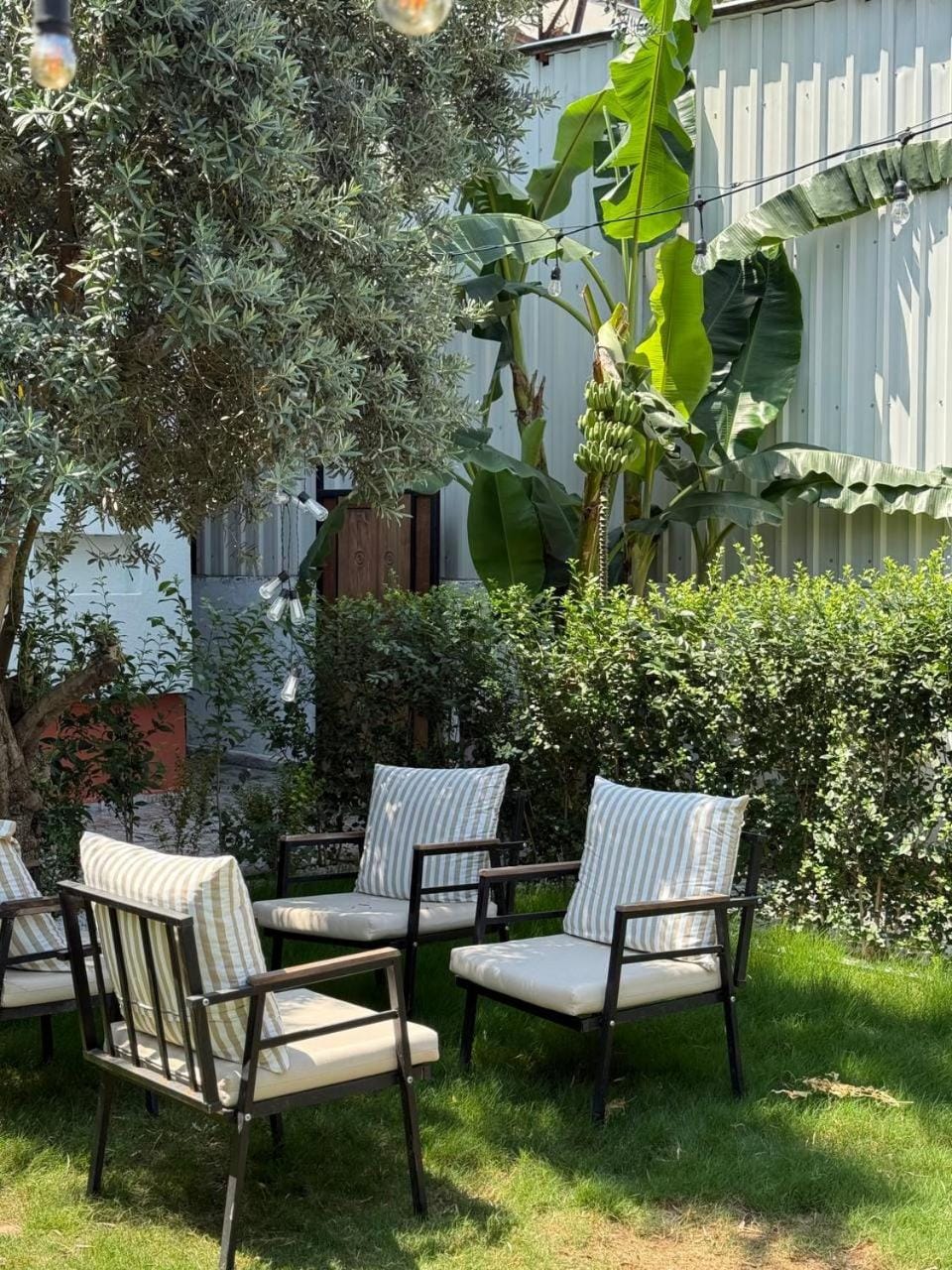 Garden, Garden, Seating area