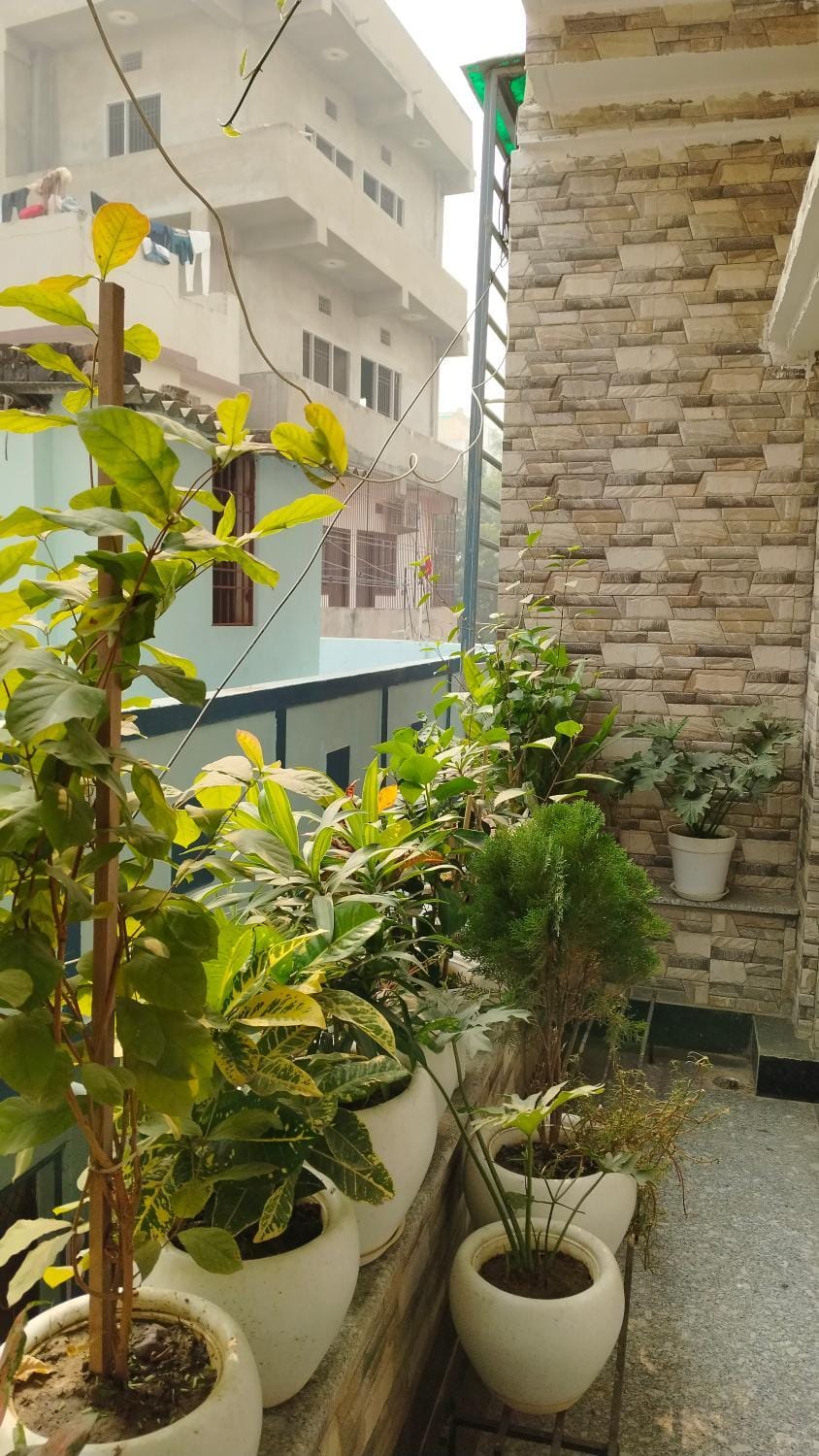 Anand stay Vacation rental in India