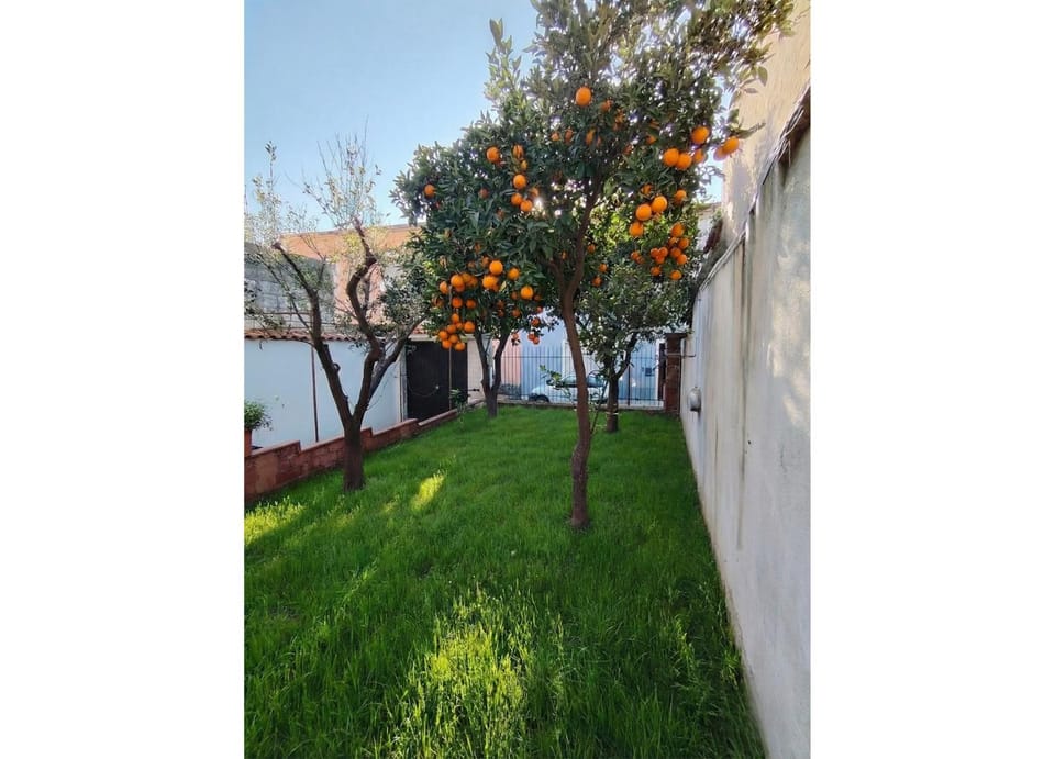 Spring, Day, Garden, Garden, Garden view