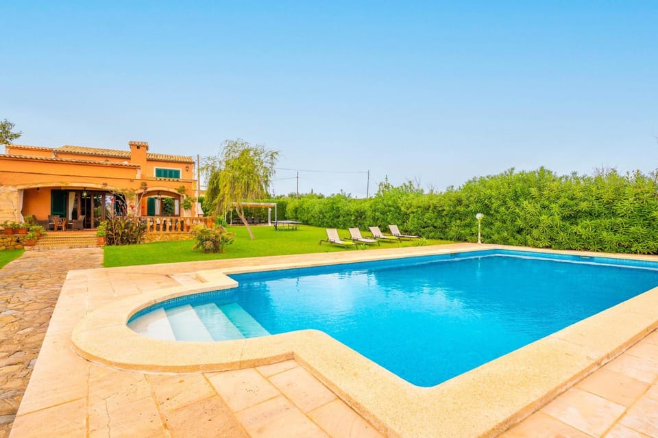 Garden, Swimming pool