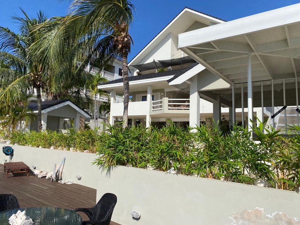 Patio, Garden, Garden view