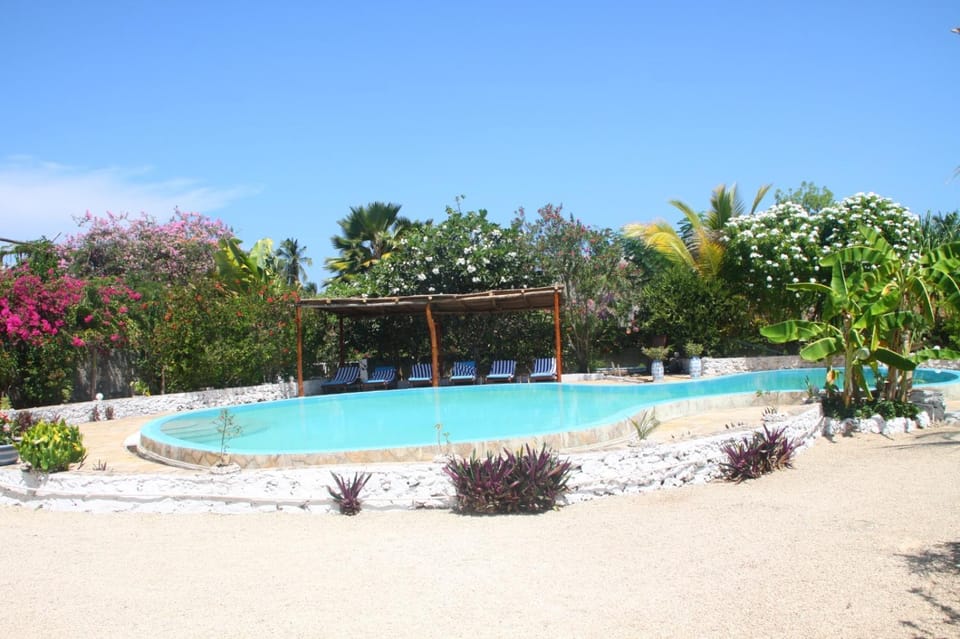 Day, Garden view, Pool view, Swimming pool
