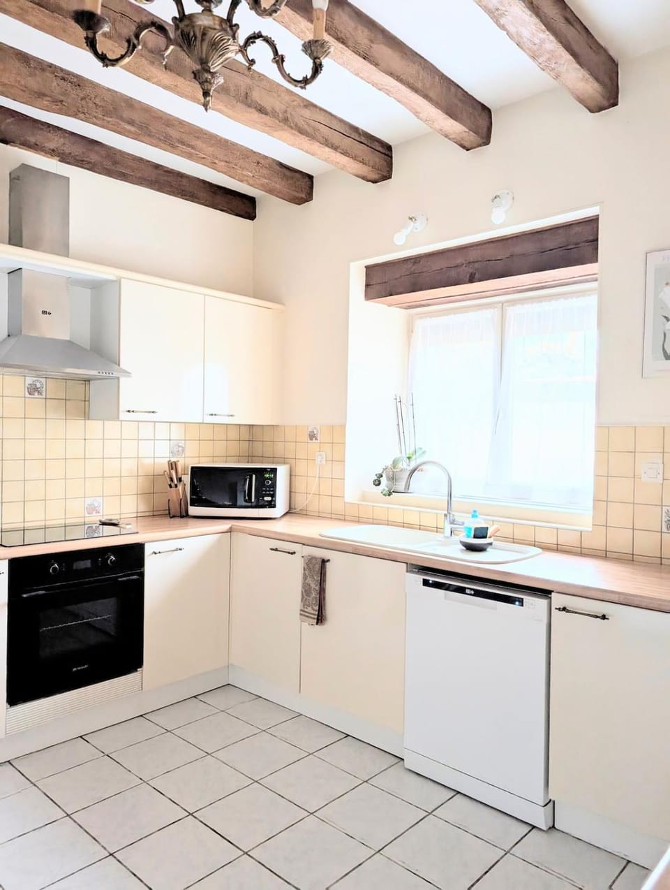 Kitchen or kitchenette, dishwasher, stove