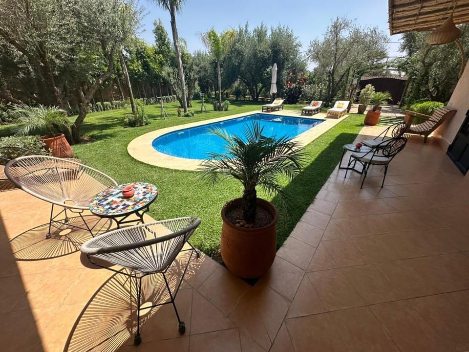 Patio, Spring, Day, Garden, Garden view, Pool view, Swimming pool, sunbed