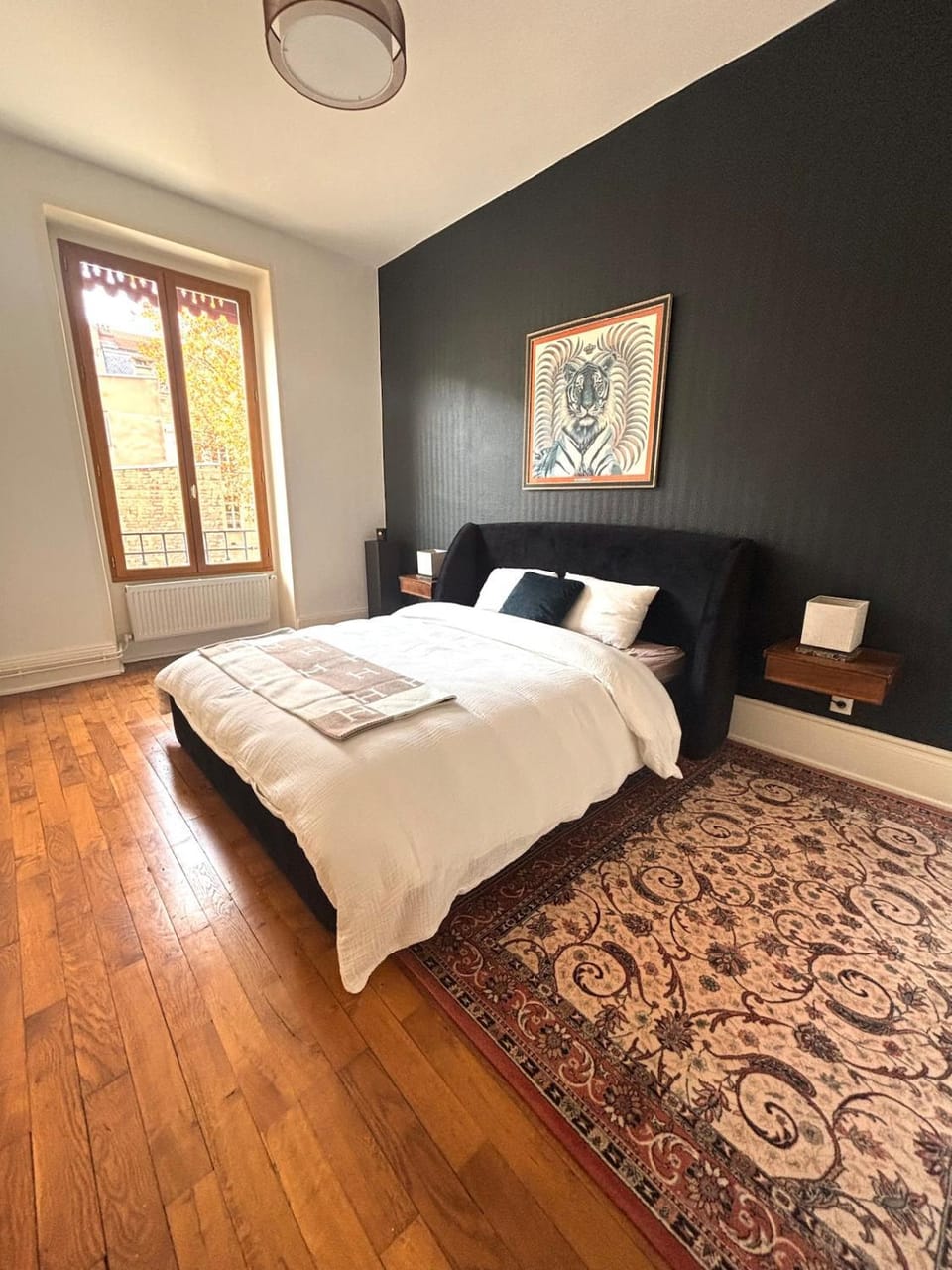 Haussmannian apartment-Close metro Apartment in Auvergne-Rhône-Alpes