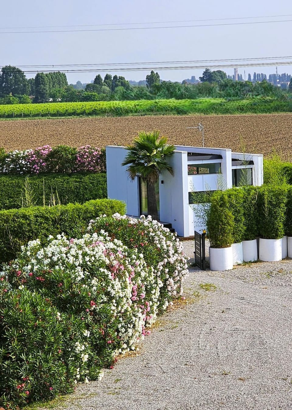 Property building, Spring, Garden view