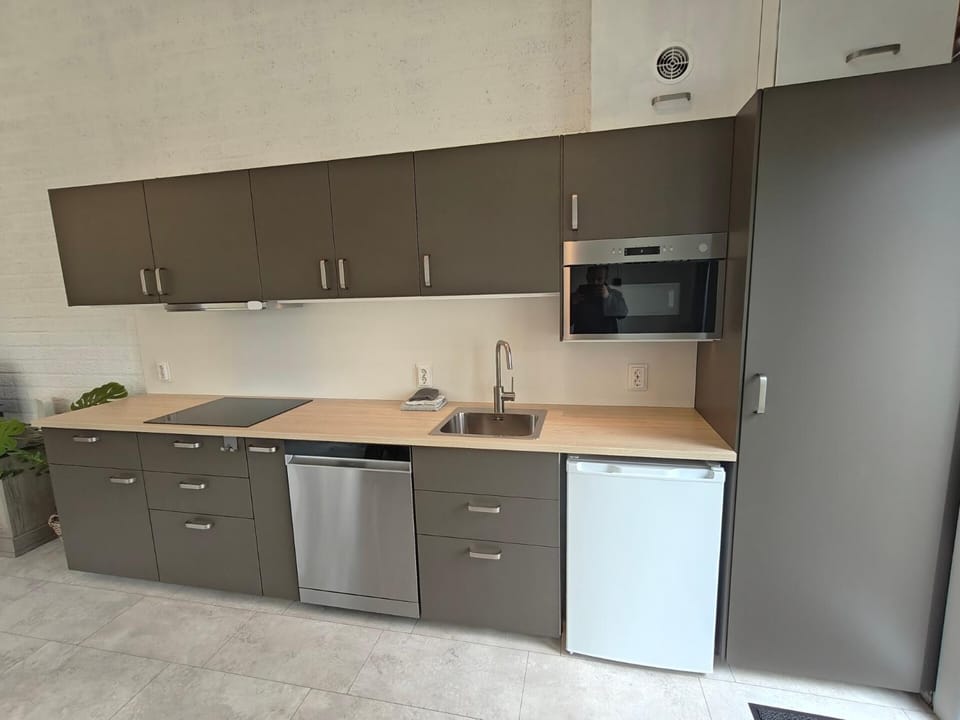 Kitchen or kitchenette, kitchen, kitchen