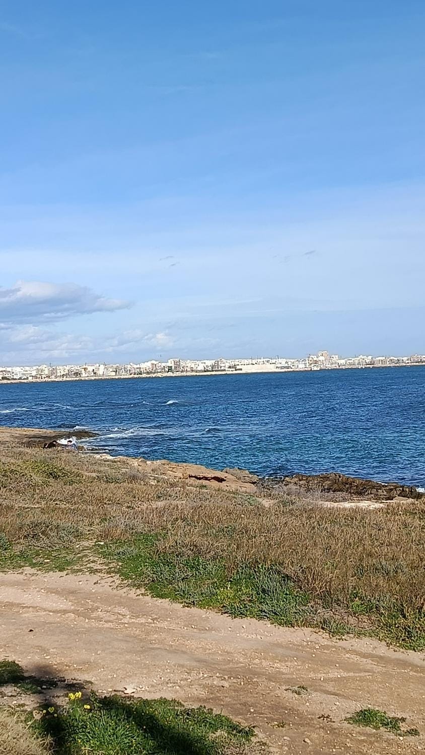 MeduSa Apartment in Torrevieja